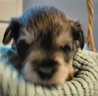 processed/d72cbcef-b302-4ff6-8ef0-abc0fa307742/listing/d3ef028a-b49d-4ec6-ac06-34bc0793765c/a0116fc1-b62d-4556-9090-830d01beea40