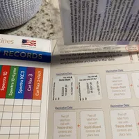 Buddy, a male Border Collie for sale in Mira Loma, CA – Photo 2 of 3