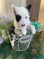 processed/d735eec4-1e72-4ca4-a9a5-28c046ae1671/listing/0246d02e-dfdc-4bbe-a5c0-5accc416a43f/f5061a41-2be9-41c9-a585-66e3c549db24