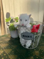 processed/d735eec4-1e72-4ca4-a9a5-28c046ae1671/listing/62ce45f0-f33e-4c6c-a175-2736e6a3a7e6/263adb2b-6298-4d00-a9ff-dcfdb4599058