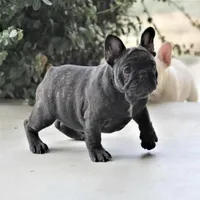 processed/d7393068-f9db-4158-93d4-d32ab1bb908a/facility/051cea7b-61b9-41ab-a1da-0a74867ede76