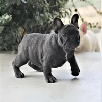 processed/d7393068-f9db-4158-93d4-d32ab1bb908a/facility/051cea7b-61b9-41ab-a1da-0a74867ede76