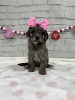 processed/d73a7c04-94fc-4947-b5e5-587665830396/listing/a043933e-6155-4134-9b43-493ef9dfa1db/4b3a536f-71f7-48df-8add-668dbdc8ecfc