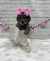 processed/d73a7c04-94fc-4947-b5e5-587665830396/listing/a043933e-6155-4134-9b43-493ef9dfa1db/52697ec1-396a-4404-87e5-d230bc4309c2