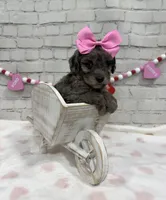 processed/d73a7c04-94fc-4947-b5e5-587665830396/listing/a043933e-6155-4134-9b43-493ef9dfa1db/69f0d0b7-472f-4395-adfe-60a2a25284eb