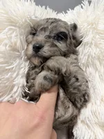 processed/d73a7c04-94fc-4947-b5e5-587665830396/listing/a043933e-6155-4134-9b43-493ef9dfa1db/906abc7d-b374-4746-a87b-536bd0200e53