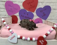 processed/d73a7c04-94fc-4947-b5e5-587665830396/listing/a043933e-6155-4134-9b43-493ef9dfa1db/c6e68cab-b5c6-4c69-a601-723b254fc278