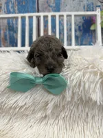 processed/d73a7c04-94fc-4947-b5e5-587665830396/listing/a043933e-6155-4134-9b43-493ef9dfa1db/d798b33e-aa62-4ac4-ab27-cc5dc23f244e