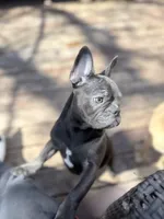 processed/d74126f4-3d20-4b2a-9c9d-4c597264ea71/facility/22673483-8347-42e4-85e0-4dd2fb4907b8