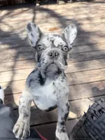 processed/d74126f4-3d20-4b2a-9c9d-4c597264ea71/facility/298bfbc8-56a2-4c4a-b41e-1193145de054