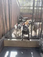 processed/d74126f4-3d20-4b2a-9c9d-4c597264ea71/facility/73f82291-19d7-46cb-b1e4-1fb2980373b8