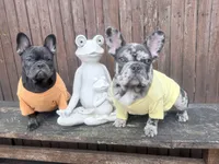 processed/d74126f4-3d20-4b2a-9c9d-4c597264ea71/facility/93739101-315e-48db-8fc5-af19df7cc5ac