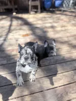 processed/d74126f4-3d20-4b2a-9c9d-4c597264ea71/facility/a5e61038-7d55-4942-8b90-74db3e9d734f