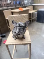 processed/d74126f4-3d20-4b2a-9c9d-4c597264ea71/facility/f7bc963b-6ce2-4056-bfe5-769437667f14