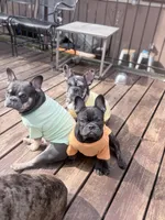 processed/d74126f4-3d20-4b2a-9c9d-4c597264ea71/facility/fdeffa5f-0755-4a4e-9db5-f90230c5c4d3