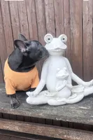 Mew Mew, a female French Bulldog for sale in Brooklyn, NY – Photo 2 of 9