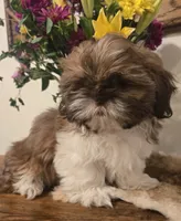 processed/d7463a6e-a1d1-4907-86be-5dd233d2e4db/listing/9d3b2bbf-3c3f-45e1-9df8-9288fc0401e0/05236f54-f61f-43f6-8866-d1ed853fb0cf