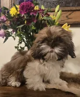 processed/d7463a6e-a1d1-4907-86be-5dd233d2e4db/listing/9d3b2bbf-3c3f-45e1-9df8-9288fc0401e0/06d57d4f-4e3d-415f-8710-f9e60552713b