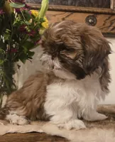 processed/d7463a6e-a1d1-4907-86be-5dd233d2e4db/listing/9d3b2bbf-3c3f-45e1-9df8-9288fc0401e0/145aab0f-a2fe-4cc1-a03e-4a65343552ba