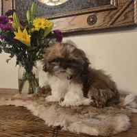 processed/d7463a6e-a1d1-4907-86be-5dd233d2e4db/listing/9d3b2bbf-3c3f-45e1-9df8-9288fc0401e0/84989afd-0239-405a-ada0-3ec634eed8e5