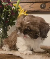 processed/d7463a6e-a1d1-4907-86be-5dd233d2e4db/listing/9d3b2bbf-3c3f-45e1-9df8-9288fc0401e0/87e61022-109a-4801-8a1f-73b360c8f1d9