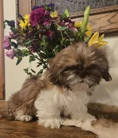 processed/d7463a6e-a1d1-4907-86be-5dd233d2e4db/listing/9d3b2bbf-3c3f-45e1-9df8-9288fc0401e0/a34128f7-2c86-4417-b68c-e844eec98199