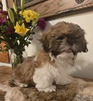 processed/d7463a6e-a1d1-4907-86be-5dd233d2e4db/listing/9d3b2bbf-3c3f-45e1-9df8-9288fc0401e0/aca0f699-2150-4043-a062-1a1a019cd670