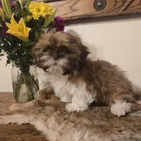 processed/d7463a6e-a1d1-4907-86be-5dd233d2e4db/listing/9d3b2bbf-3c3f-45e1-9df8-9288fc0401e0/b7513fb1-ceb0-4341-9b01-35999a91fc29