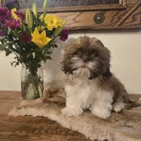 processed/d7463a6e-a1d1-4907-86be-5dd233d2e4db/listing/9d3b2bbf-3c3f-45e1-9df8-9288fc0401e0/ed9ccdd0-ec7f-4c68-8ad8-b01fea156676