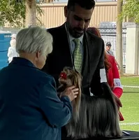 Madeline (mom of puppy) Was 2023 AKC #1 Winning Female in the  U.S., a female Yorkshire Terrier for sale in San Diego, CA – 5 of 8