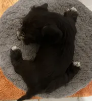 processed/d7501b61-e3f2-4c7a-9fd0-8a2276751095/listing/794a6c04-ba5a-40d0-a2fe-ec8d09d59d5e/01f171f6-72b6-49fc-b71a-01383456c9fe