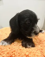 processed/d7501b61-e3f2-4c7a-9fd0-8a2276751095/listing/794a6c04-ba5a-40d0-a2fe-ec8d09d59d5e/05c2ee3b-f87f-432e-aff0-80c121ddf1b4