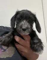 processed/d7501b61-e3f2-4c7a-9fd0-8a2276751095/listing/794a6c04-ba5a-40d0-a2fe-ec8d09d59d5e/0a1dc03d-e2e7-4276-ad31-2fe619350a35