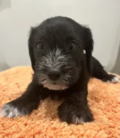 processed/d7501b61-e3f2-4c7a-9fd0-8a2276751095/listing/794a6c04-ba5a-40d0-a2fe-ec8d09d59d5e/a88c5cfd-cf3b-4b03-b221-77676413abab