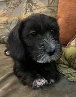 processed/d7501b61-e3f2-4c7a-9fd0-8a2276751095/listing/794a6c04-ba5a-40d0-a2fe-ec8d09d59d5e/ccf8614b-3e9f-47d1-9155-223df03b80b2