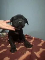 processed/d757c355-1bcb-4d59-ae98-6738e8727dc5/listing/52335c08-2063-4c75-aa9d-246239edf9be/5f654bb9-6775-49d6-8460-2f458f68fc48