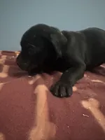 processed/d757c355-1bcb-4d59-ae98-6738e8727dc5/listing/b91d3aca-a796-45ef-9465-6048ccfb6f42/3d39ea19-97e0-4a2d-999f-b3e7d0f581a0