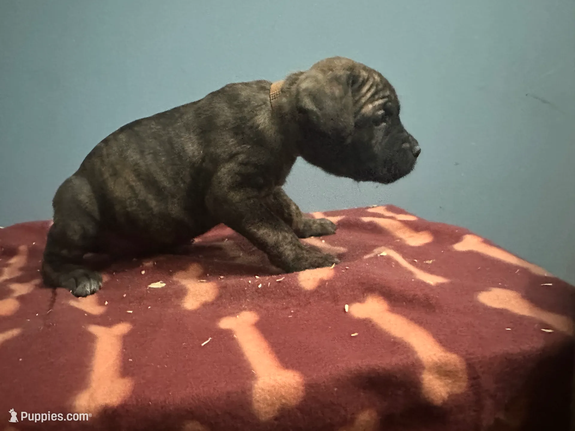 processed/d757c355-1bcb-4d59-ae98-6738e8727dc5/listing/e25efc6c-6dc0-473c-97fb-ee92ddcf9b36/47d84cbe-9eac-4f8d-bce7-dffeb80ad773