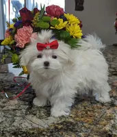 processed/d75f963f-42fe-4d2c-8d86-b0c99eea35db/listing/9eaa97a9-eb82-4453-9dda-252001377032/56392029-689b-4226-93ab-ebbe922af521