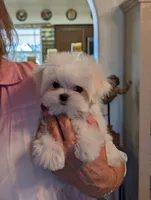 processed/d75f963f-42fe-4d2c-8d86-b0c99eea35db/listing/9eaa97a9-eb82-4453-9dda-252001377032/79f8b5de-bcca-42fd-b06d-7bd0927c9e3c