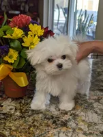 processed/d75f963f-42fe-4d2c-8d86-b0c99eea35db/listing/9eaa97a9-eb82-4453-9dda-252001377032/d7cf9d7f-e792-4b86-a5de-29ff7305c030