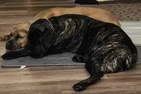 processed/d7625c68-099c-4ba1-a68f-49f33f95612e/facility/4bf22f83-8d74-4fb1-896c-3779e2db4e9e