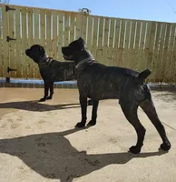 processed/d7625c68-099c-4ba1-a68f-49f33f95612e/facility/4d2d4e77-8011-4835-86eb-d80ffa242864