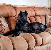 processed/d7625c68-099c-4ba1-a68f-49f33f95612e/facility/4df2b3e1-e598-45fa-9645-5e6f30801b71