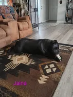 processed/d7625c68-099c-4ba1-a68f-49f33f95612e/facility/6c1438ba-f206-4134-b9f9-c4d0a4f67c40