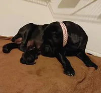 processed/d7625c68-099c-4ba1-a68f-49f33f95612e/facility/7c2cb138-e232-49f7-bf49-18f2d59fd1cb