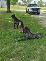 processed/d7625c68-099c-4ba1-a68f-49f33f95612e/facility/b138ca13-63ed-4e1a-b150-950cb89c8a08