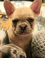 processed/d767a8a4-2572-4dda-9aff-271d3361da3e/listing/f993d9cb-34c1-4671-8876-af18bed5cf6b/4bca1412-1b61-437d-80f1-0c68fd8e5c07