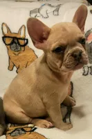 processed/d767a8a4-2572-4dda-9aff-271d3361da3e/listing/f993d9cb-34c1-4671-8876-af18bed5cf6b/5d959587-0c8b-44c2-94ca-3f5d8a324794