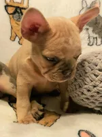 processed/d767a8a4-2572-4dda-9aff-271d3361da3e/listing/f993d9cb-34c1-4671-8876-af18bed5cf6b/920d34ee-cbfb-4e16-a705-b34b4ff8c341